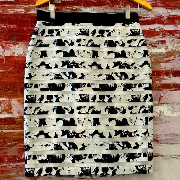 Ann Taylor Dresses & Skirts - Ann Taylor blue and white skirt. Excellent condition